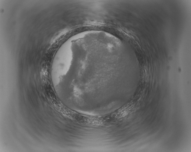 X0000054371254200508011211