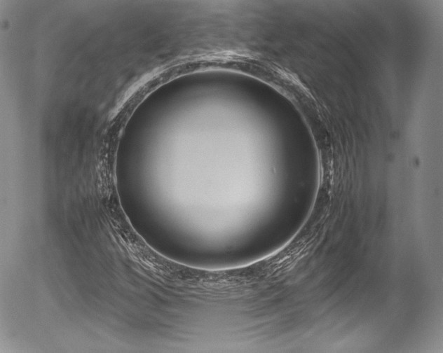 X0000054371256200508011211