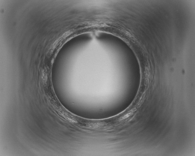 X0000054371257200508011211