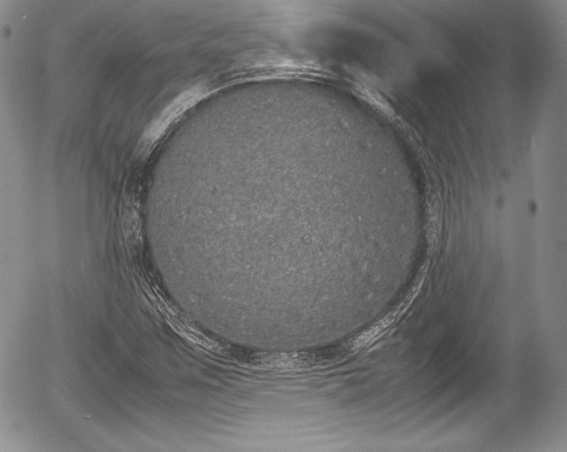 X0000054371259200508011211