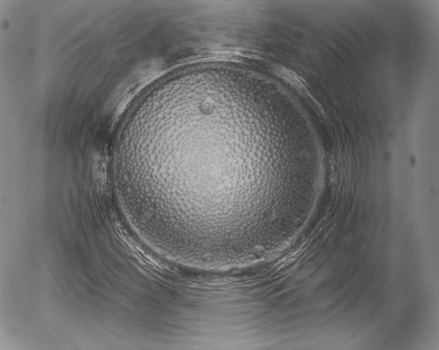 X0000054371260200508011211