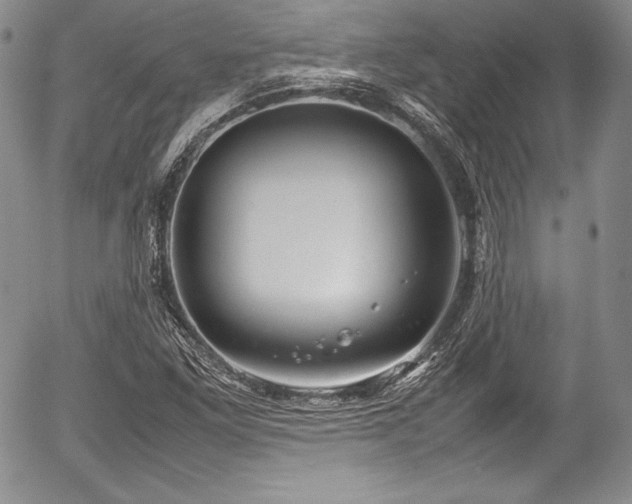 X0000054371261200508011211