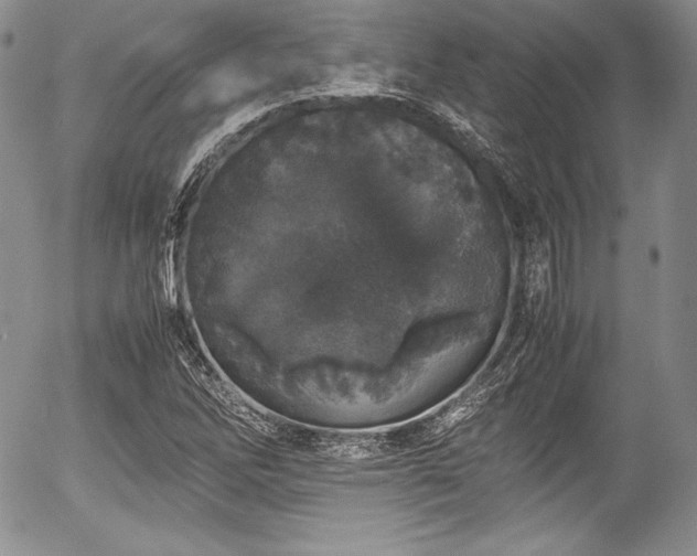 X0000054371262200508011211