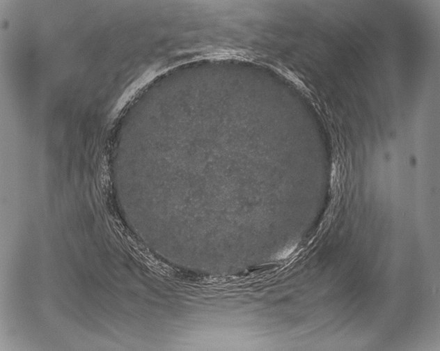 X0000054371263200508011211