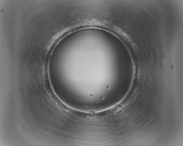 X0000054371264200508011211