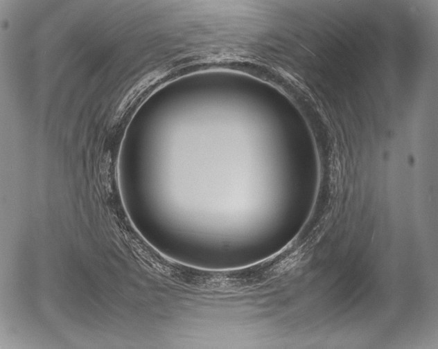 X0000054371265200508011211