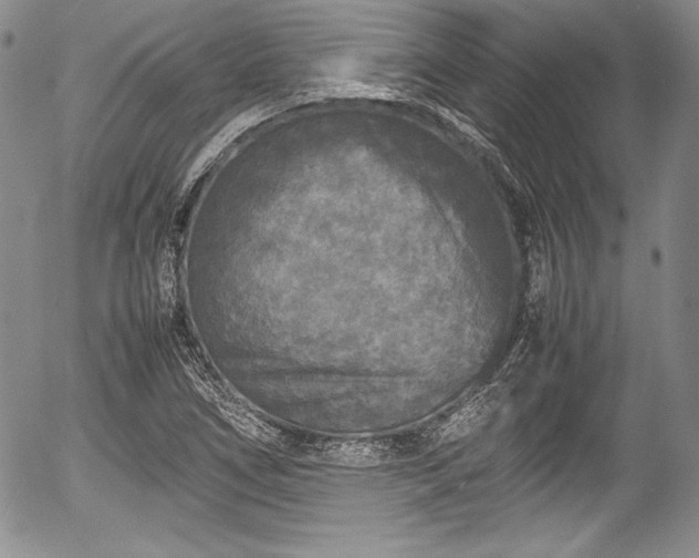 X0000054371266200508011211