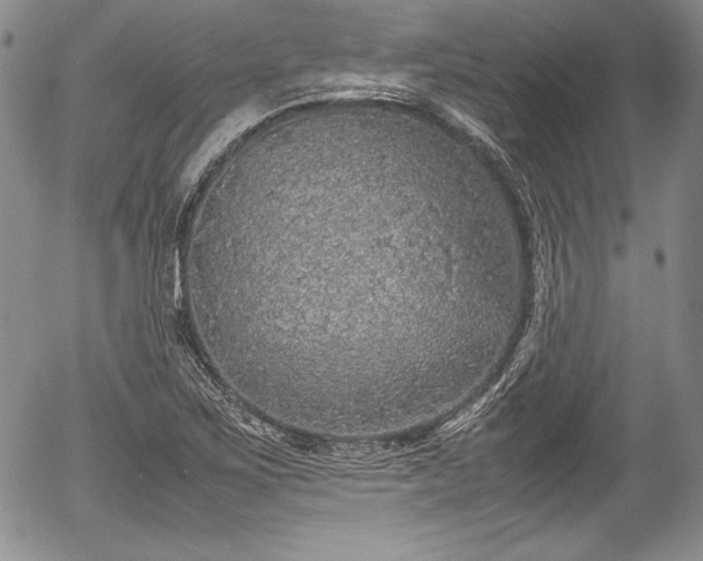 X0000054371267200508011211