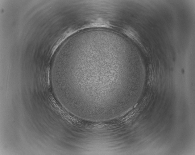 X0000054371268200508011211