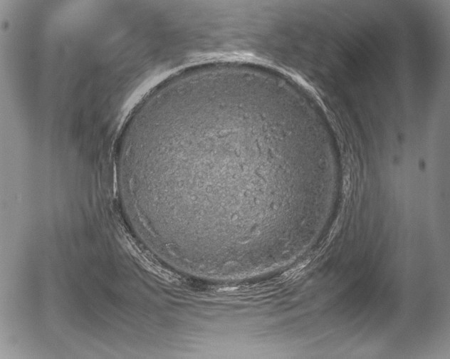 X0000054371271200508011211