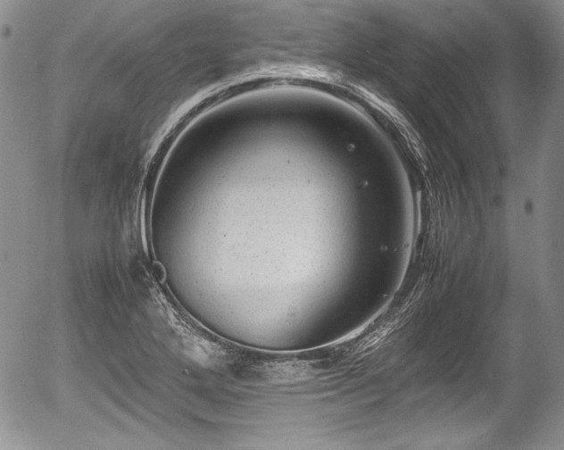 X0000054371272200508011211