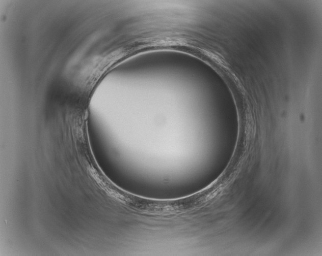 X0000054371273200508011211