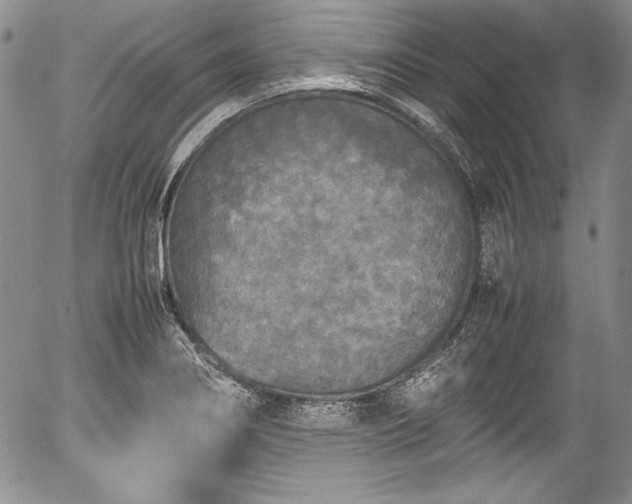 X0000054371274200508011211