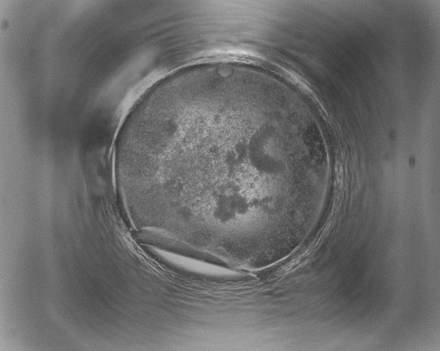 X0000054371275200508011211