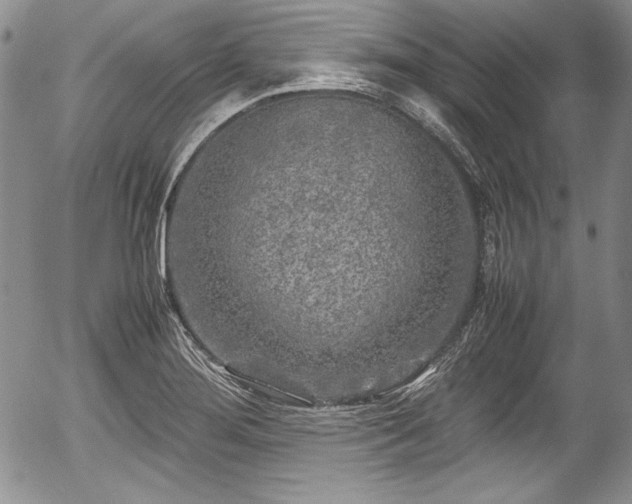 X0000054371276200508011211