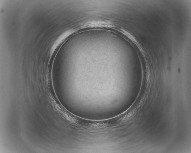 X0000054371277200508011211