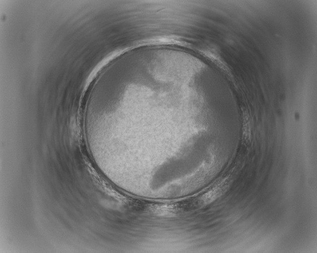 X0000054371278200508011211