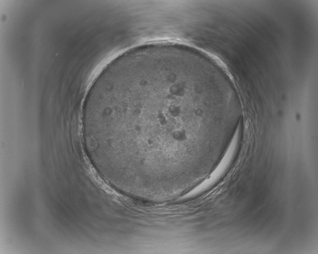 X0000054371279200508011211