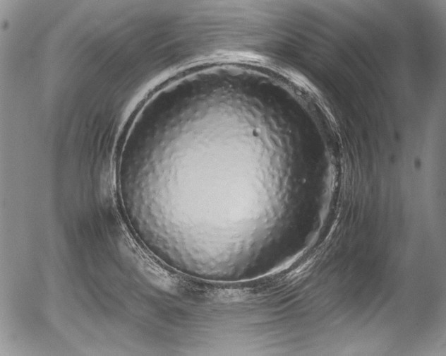 X0000054371280200508011211