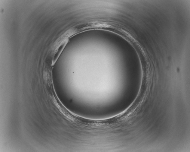 X0000054371281200508011211