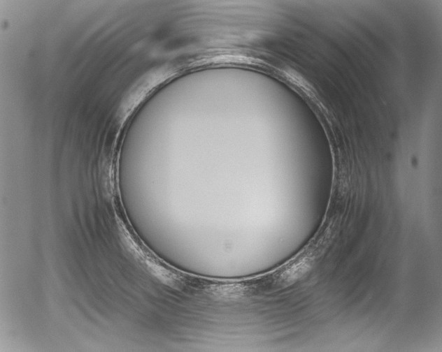 X0000054371282200508011211