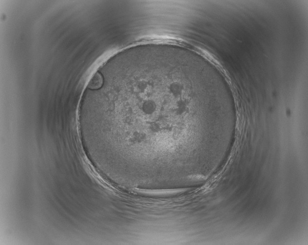 X0000054371283200508011211