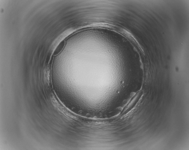 X0000054371284200508011211