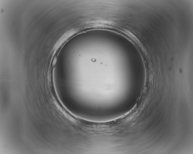 X0000054371285200508011211