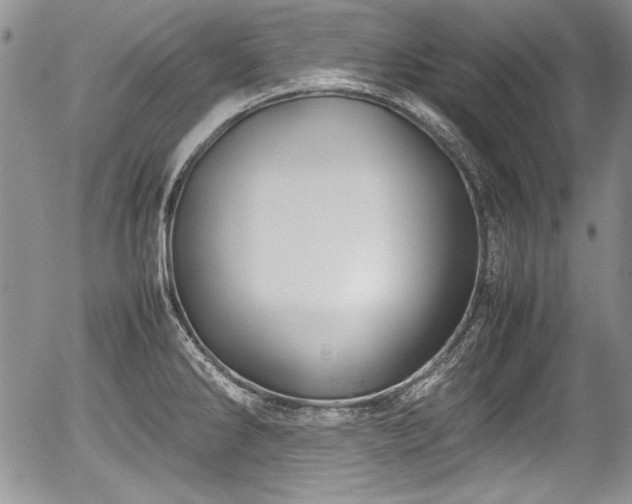 X0000054371286200508011211