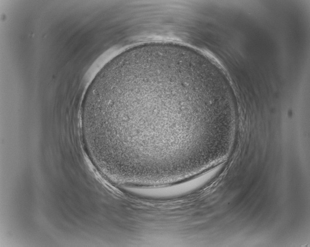 X0000054371287200508011211