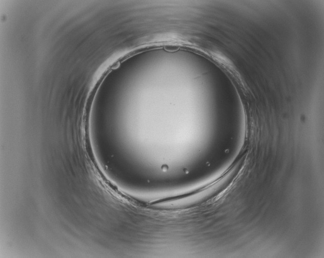 X0000054371288200508011211