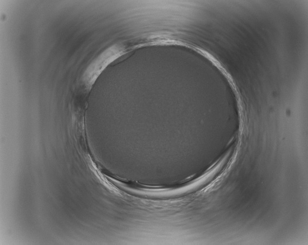 X0000054371289200508011210