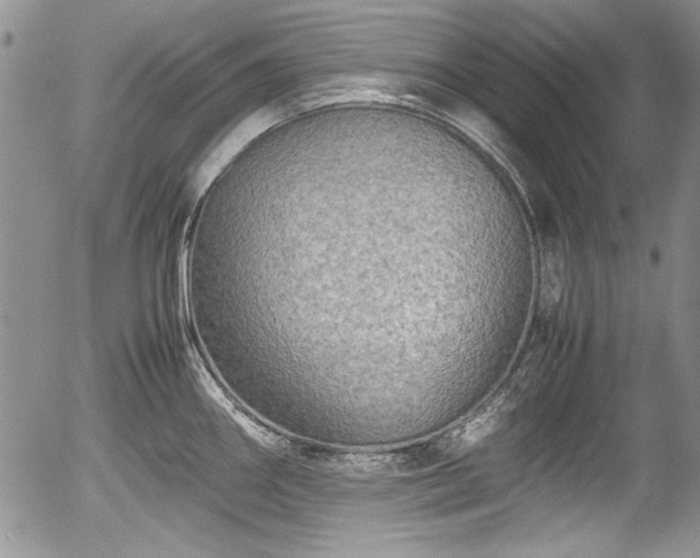 X0000054371290200508011210