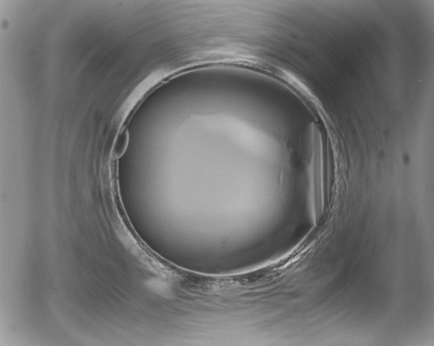 X0000054371291200508011210