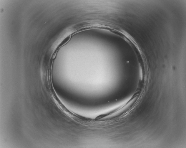 X0000054371293200508011210