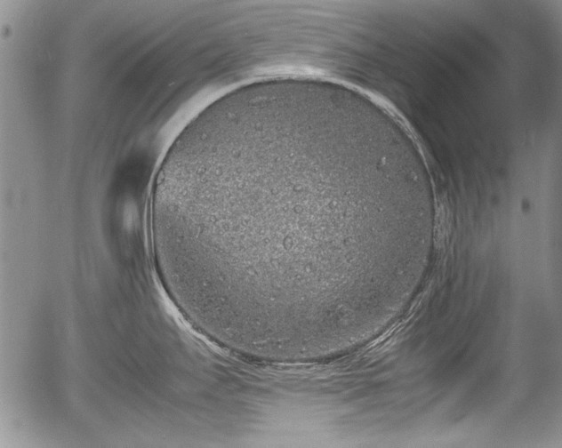 X0000054371295200508011210