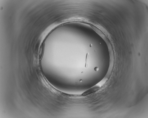 X0000054371296200508011210