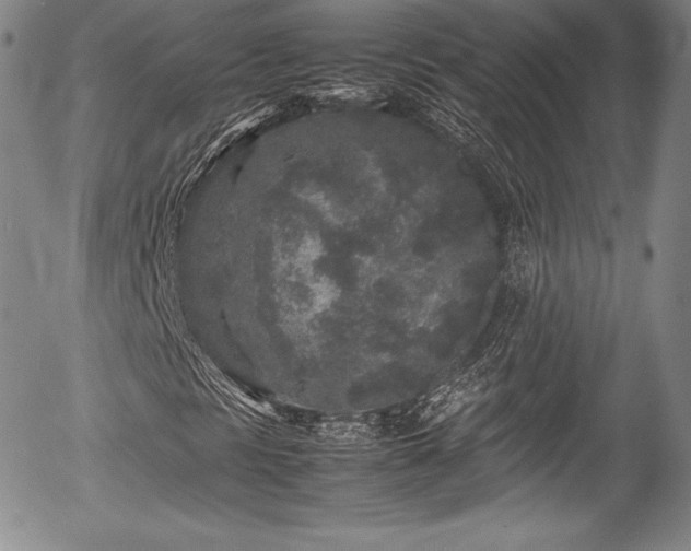 X0000054371297200508011210