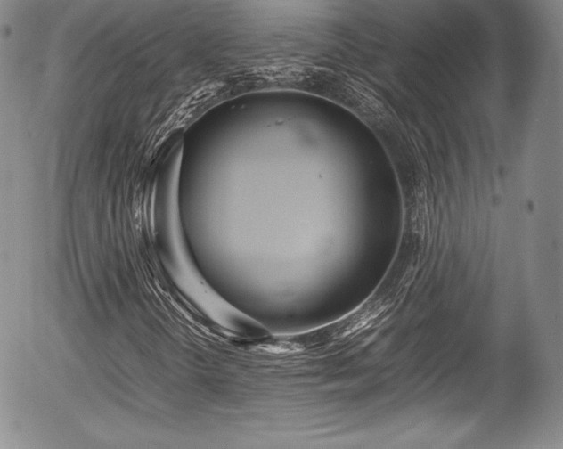 X0000054371298200508011210