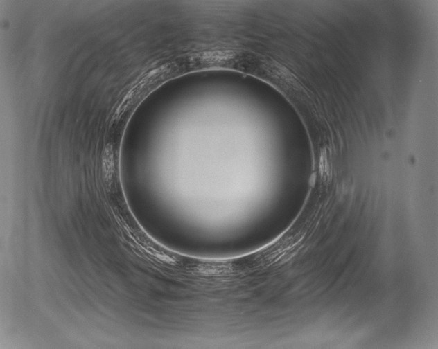 X0000054371299200508011210