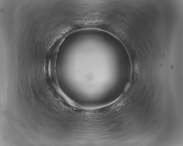 X0000054371300200508011210