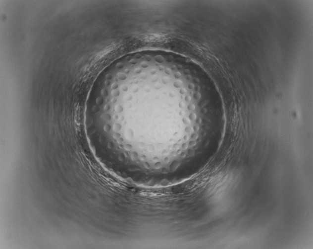 X0000054371301200508011210