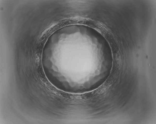 X0000054371302200508011210