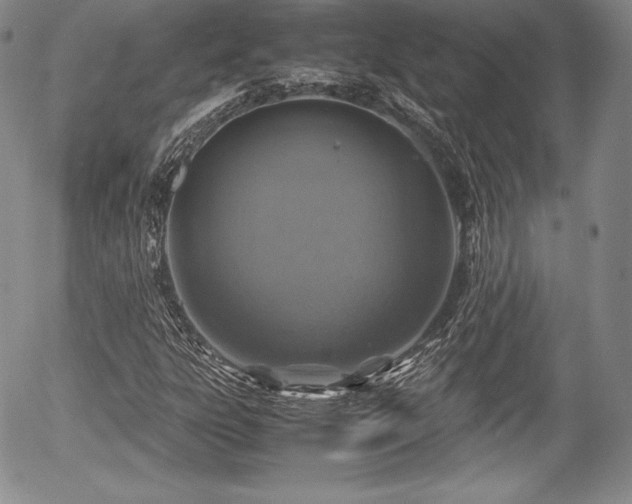 X0000054371303200508011210