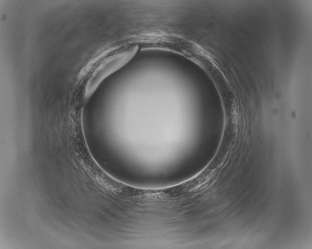 X0000054371304200508011210