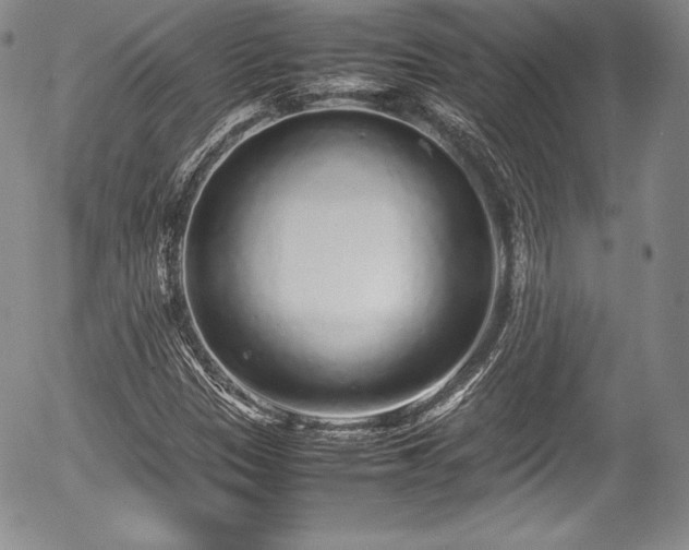 X0000054371305200508011210