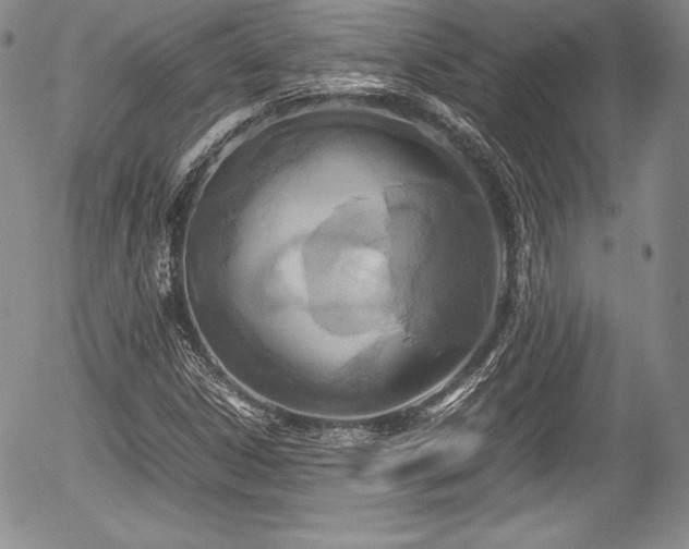 X0000054371306200508011210