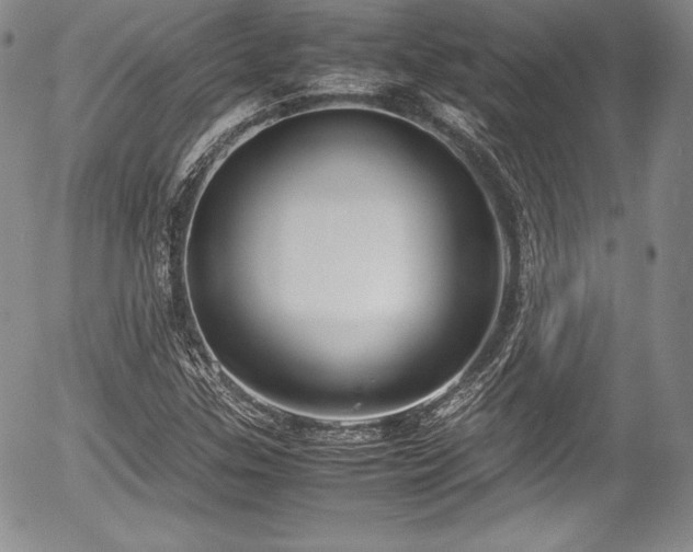 X0000054371307200508011210