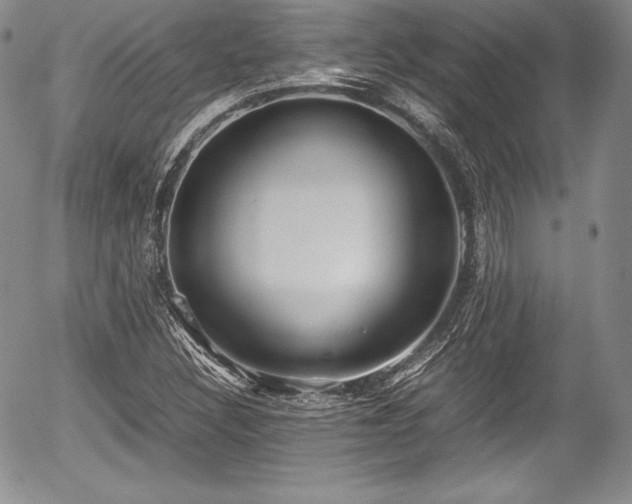 X0000054371308200508011210