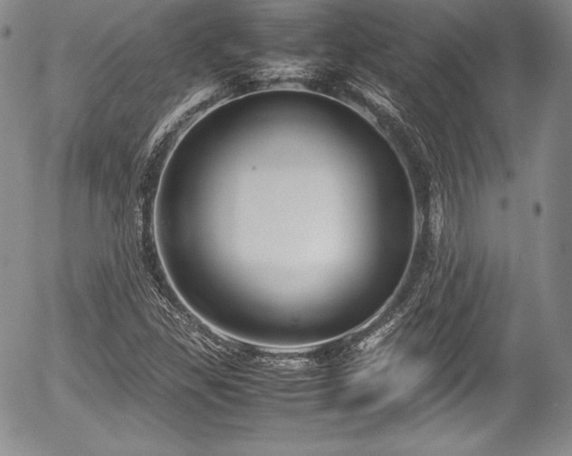 X0000054371309200508011210